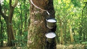 TT cao su châu Á ngày 17/4/2020: Giá tại Tokyo tăng do chứng khoán Tokyo hồi phục